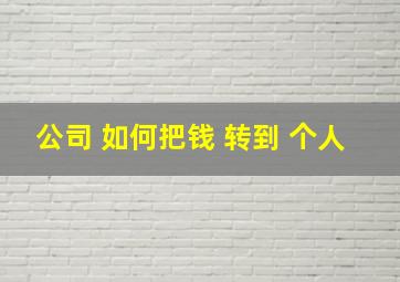 公司 如何把钱 转到 个人